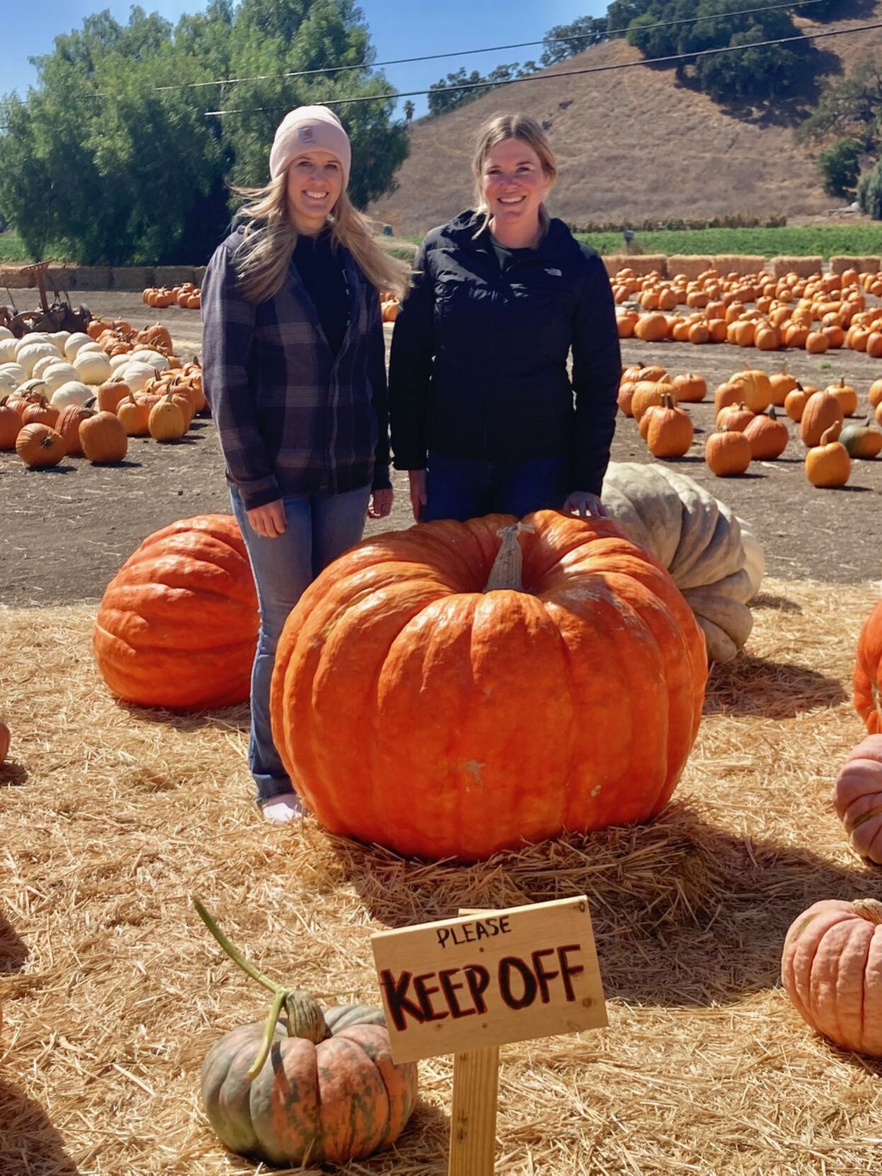 101421 Solvang Pumpkin 3.jpg
